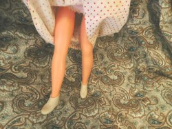 mary poppins cda 5 legs